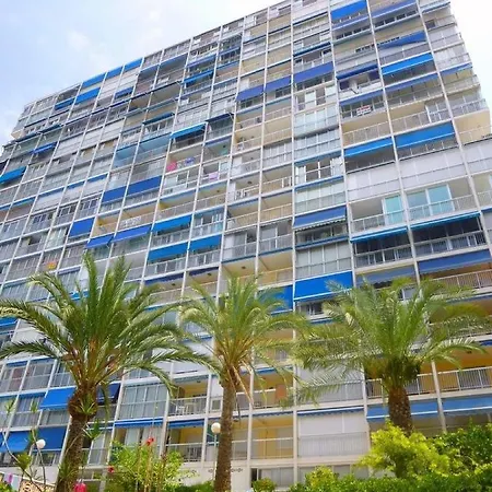 Levante *